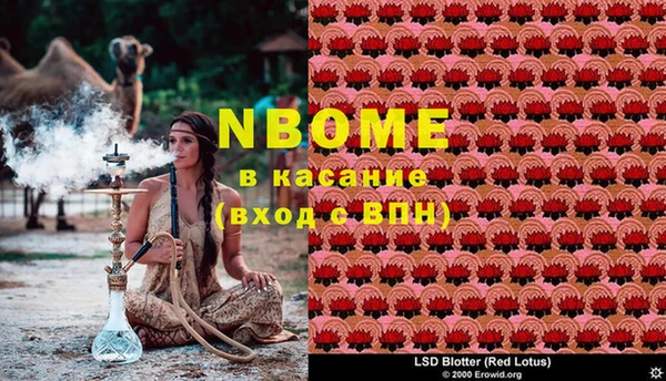 марки lsd Белокуриха