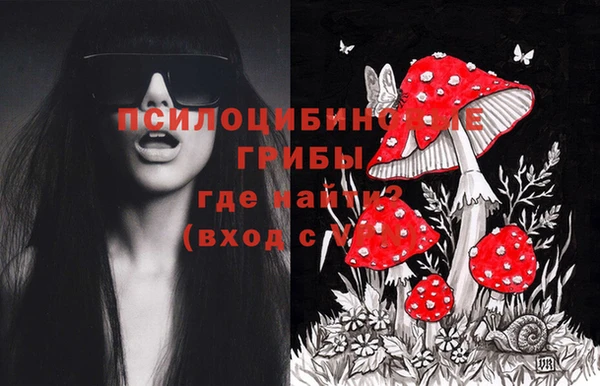 марки lsd Белокуриха