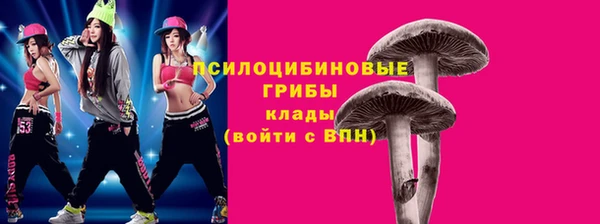 молекула духа Беломорск