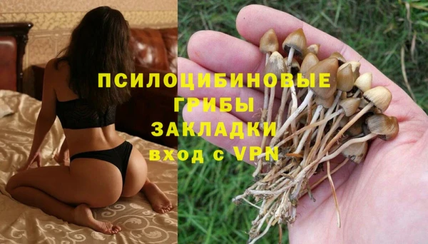 марки lsd Белокуриха