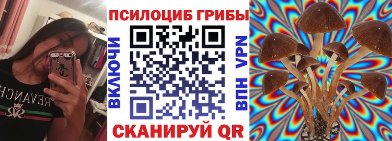 блэк спрут рабочий сайт  Гулькевичи  Псилоцибиновые грибы Psilocybine cubensis 