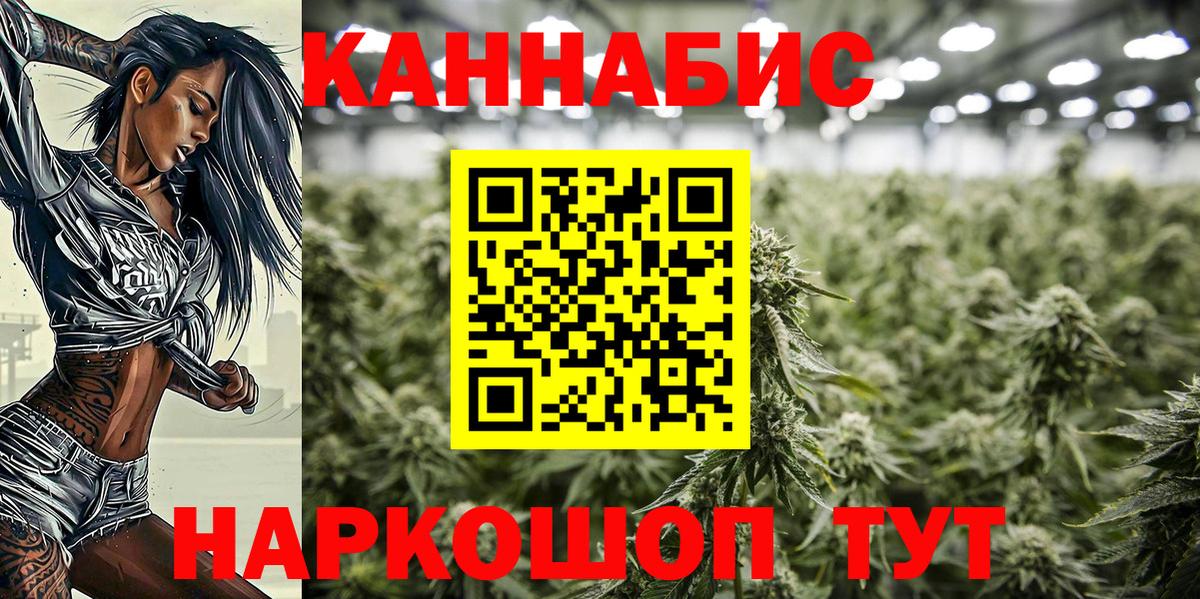Канабис конопля Гулькевичи